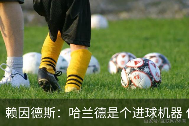 赖因德斯：哈兰德是个进球机器 但最佳前锋我选加克波